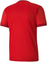 PUMA Erkek Teamgoal 23 Casuals T-shirt