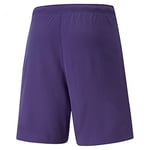 PUMA Erkek Teamrise antrenman şortu - Bedenler: 2XL, 3XL, S, M, L, XX-Large, XL