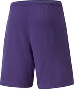 PUMA Erkek Teamrise antrenman şortu - Bedenler: 2XL, 3XL, S, M, L, XX-Large, XL