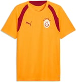 Puma Galatasaray 26/27 Erkek Sarı Antrenman Forma - Bedenler: S, M, L, XL