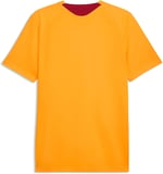 Puma Galatasaray 26/27 Erkek Sarı Antrenman Forma - Bedenler: S, M, L, XL