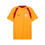 Puma Galatasaray 26/27 Erkek Sarı Antrenman Forma - Bedenler: S, M, L, XL