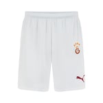 PUMA Galatasaray S.K. 24/25 ERKEK İÇ SAHA FUTBOL ŞORTU