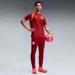 Puma GSK Training Jersey GALATASARAY Erkek Antrenman Forması, 78680501 - Bedenler: XS, S, M, L, XL