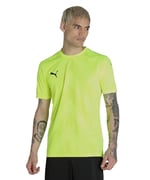 PUMA Herren Teamglory Jersey Pullover