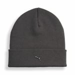 PUMA METALPUMACAT HighCrownBeanie Bere Unisex Yetişkin