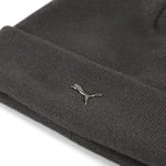 PUMA METALPUMACAT HighCrownBeanie Bere Unisex Yetişkin