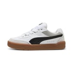 PUMA Park Lifestyle SK8 Spor AyakkabıUnisex Yetişkin