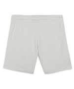 PUMA SANDY ADVENTURES Shorts Şort Erkek