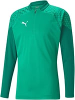 PUMA Teamcup Training 1/4 Zip Top Slim Fit Top Erkek