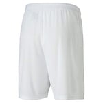 PUMA Teamgoal 23 Knit Shorts Şort Erkek