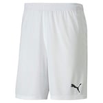 PUMA Teamgoal 23 Knit Shorts Şort Erkek