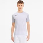 PUMA teamGOAL 23 Sideline Tee Tişört Erkek
