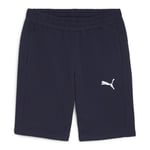 PUMA Teamgoal Casuals üniseks örgü şort
