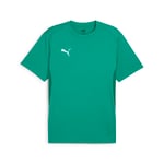 PUMA Teamgoal Jersey Tişörtler Erkekler