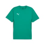 PUMA Teamgoal Jersey Tişörtler Erkekler