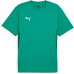 PUMA Teamgoal Jersey Tişörtler Erkekler