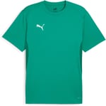 PUMA Teamgoal Jersey Tişörtler Erkekler