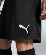 Puma Teamgoal Shorts Erkek Futbol Antrenman Şortu 70575203 Siyah M