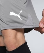 PUMA Teamgoal ŞortÖrgü şortÜniseks Yetişkin