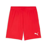 PUMA Teamgoal ŞortÖrgü şortÜniseks Yetişkin - Bedenler: 2XL, 3XL, S, M, L, XX-Large, XL