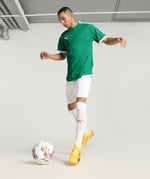 PUMA Teamliga Jersey Tişört Erkek