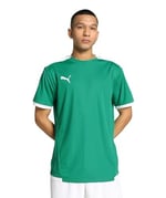 PUMA Teamliga Jersey Tişört Erkek