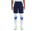 Puma TeamLiga Training Football Erkek Şort