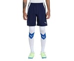 Puma TeamLiga Training Football Erkek Şort