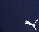 Puma TeamLiga Training Football Erkek Şort