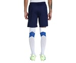Puma TeamLiga Training Football Erkek Şort
