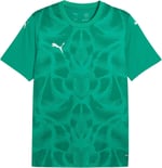 Puma Teamultimate Jersey Erkek Futbol Maç Forması 70628001 Beyaz - Bedenler: S, M, L, XX-Large, XL
