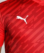 PUMA Teamultimate Jersey Tişört Erkek