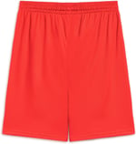 Puma Turkey Practice Short Erkek Türkiye Basketbol 60547202 Kırmızı