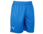 Puma Turkey Practice Short Erkek Türkiye Basketbol Şortu 60547201 Mavi - Bedenler: 2XL, 3XL, S, M, L, XL