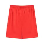 Puma Turkey Practice Short Erkek Türkiye Basketbol 60547202 Kırmızı