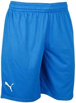 Puma Turkey Practice Short Erkek Türkiye Basketbol Şortu 60547201 Mavi - Bedenler: 2XL, 3XL, S, M, L, XL