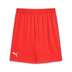Puma Turkey Practice Short Erkek Türkiye Basketbol 60547202 Kırmızı
