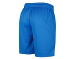 Puma Turkey Practice Short Erkek Türkiye Basketbol Şortu 60547201 Mavi - Bedenler: 2XL, 3XL, S, M, L, XL