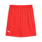 Puma Turkey Practice Short Erkek Türkiye Basketbol 60547202 Kırmızı