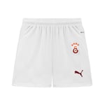 Puma Unisex Futbol Shorts 779673