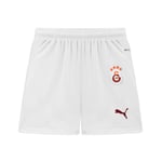 Puma Unisex Futbol Shorts 779673
