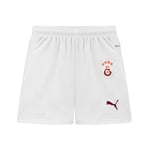 Puma Unisex Futbol Shorts 779673