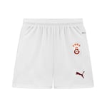Puma Unisex Futbol Shorts 779673