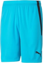 PUMA Unisex Teamliga Short
