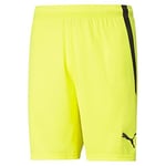 PUMA Unisex Teamliga Short