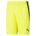 PUMA Unisex Teamliga Short