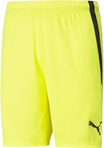 PUMA Unisex Teamliga Short