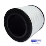 PUREBURG HEPA Yedek Filtre Electrolux FA31-201GY Hava Temizleyici Flow A3 / A3UV, FA31-203PK FA31-203WT FA31-203GN FA31-203GY ile Uyumlu