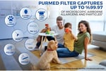 Purmed Xiaomi Smart Air Purifier 4 Compact Uyumlu HEPA Filtre | Yüksek Verimli Yedek Filtre | PM2.5, Polen, Toz ve Alerjen Giderici | 4 Compact Hepa Filter